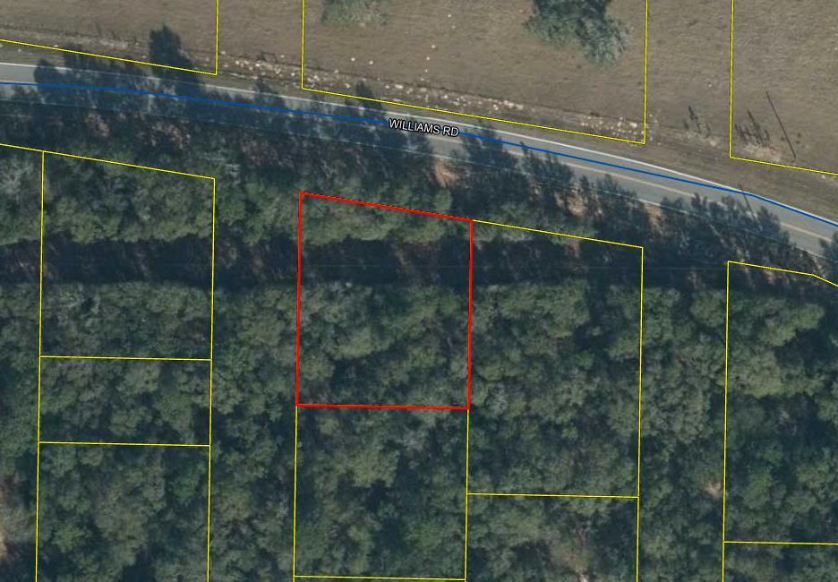 26-ac Williams Road DeFuniak Springs, FL 32433 - Photo 1 of 3 .26ac on paved road