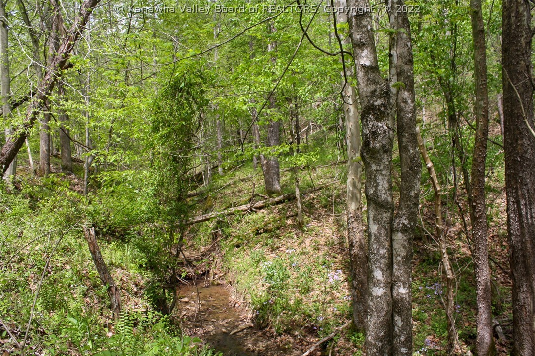 0 Shatto Road Ripley, WV 25271 - Photo 4 of 9 Gallery Image 4