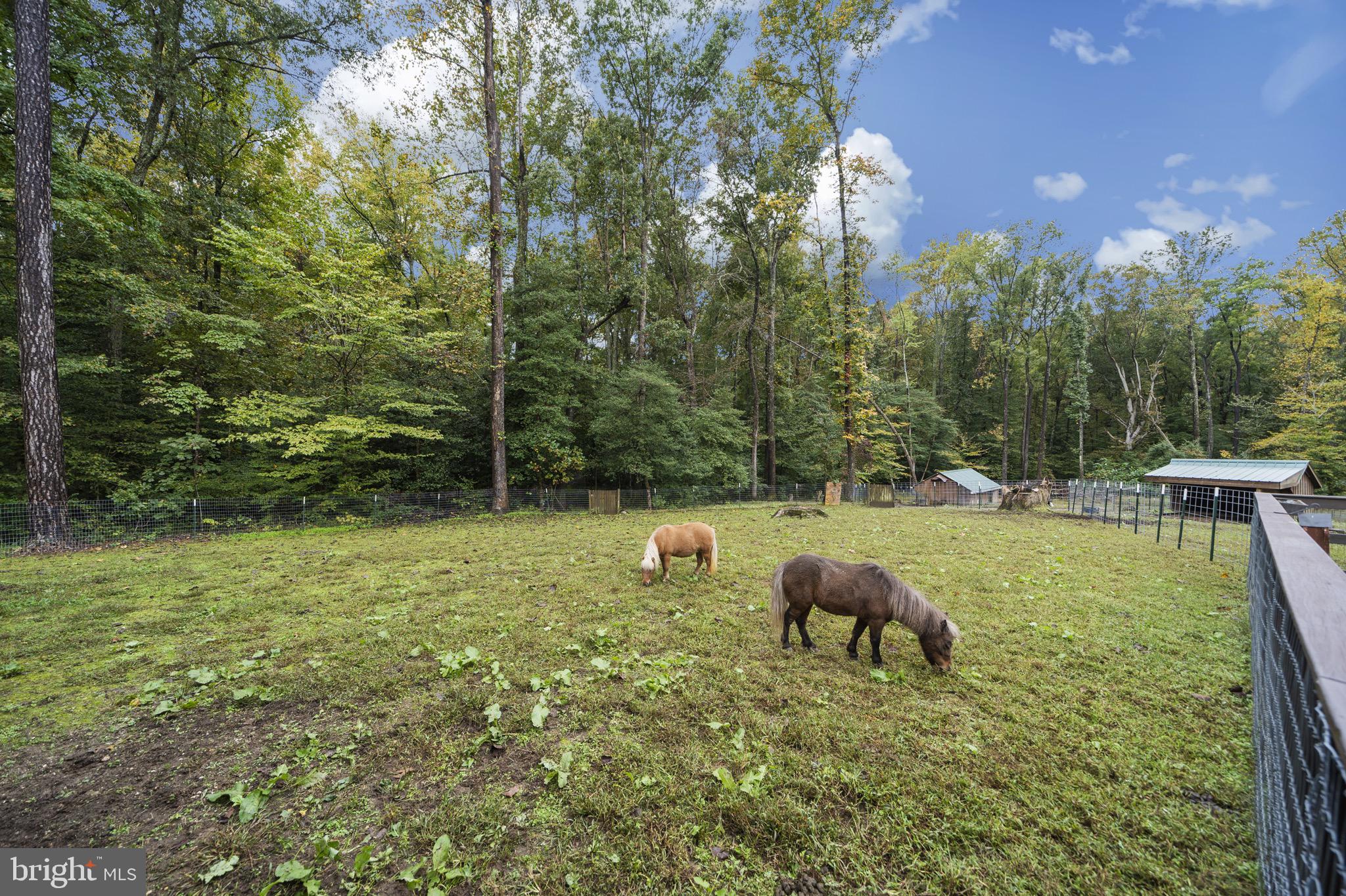 9645 Trinity Church Road Charlotte Hall, MD 20622 - Photo 11 of 52 Gallery Image 11