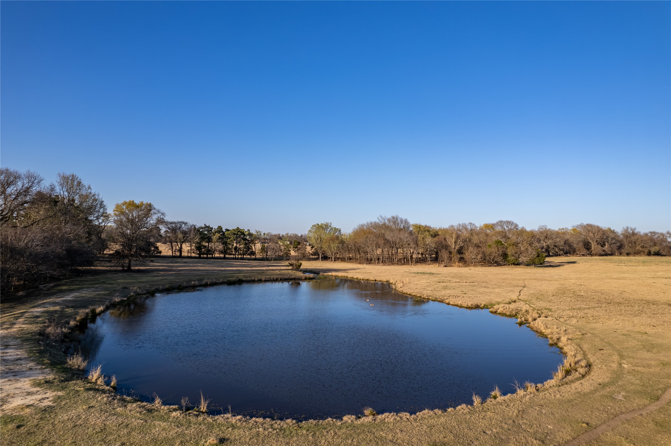 6751 County Road 4710 Larue, TX 75770 - Photo 43 of 47 a view of lake