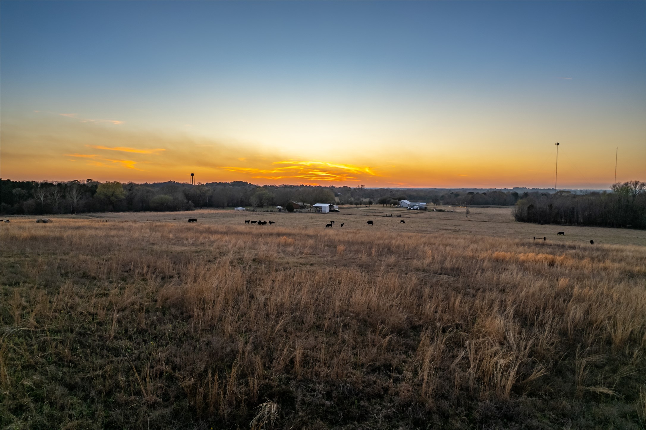 6751 County Road 4710 Larue, TX 75770 - Photo 44 of 47 a view of an outdoor space and a yard