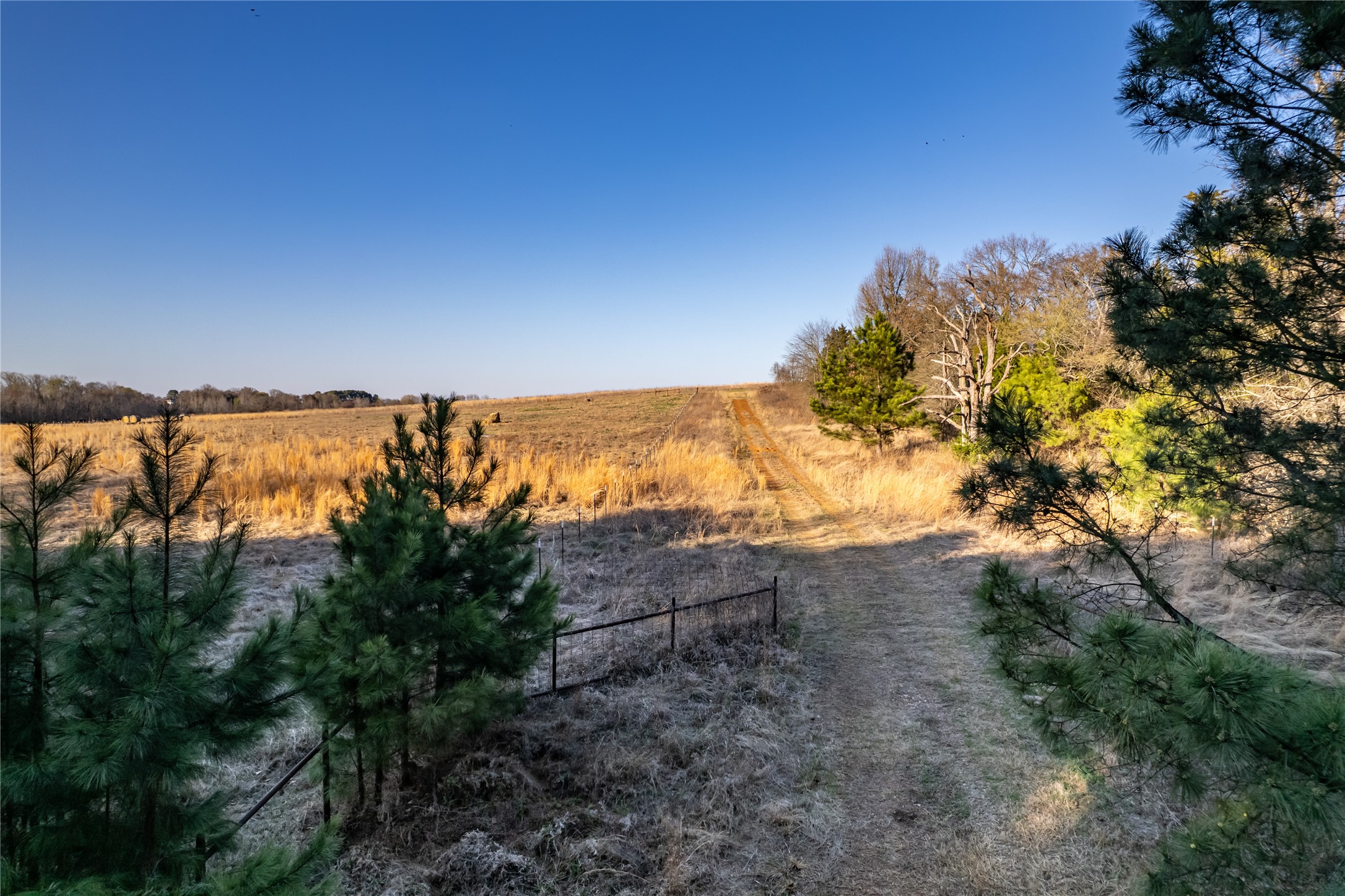 6751 County Road 4710 Larue, TX 75770 - Photo 45 of 47 a view of mountain view with lots of trees