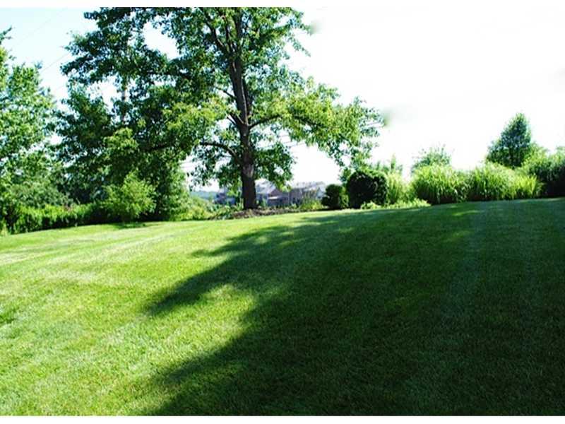 208 Sweet Gum Road Pittsburgh, PA 15238 - Photo 14 of 14 Yard/Garden.