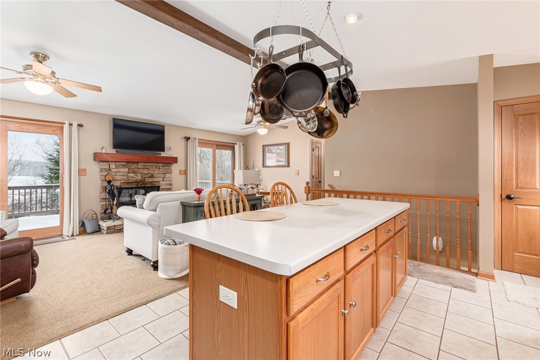10135 North Morrison Road Dresden, OH 43821 - Photo 6 of 31