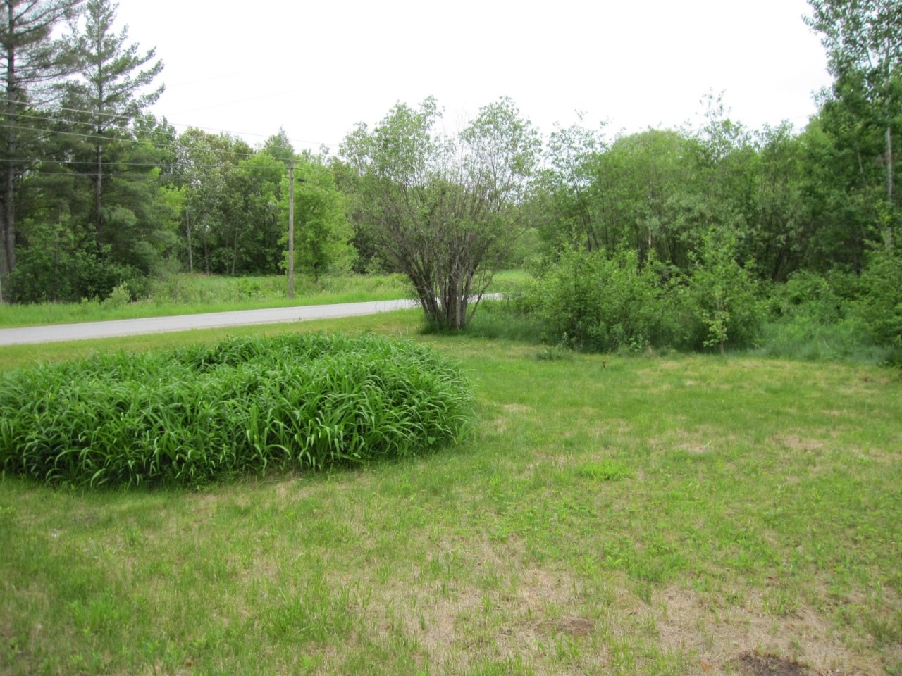 12626 Airport Road Atlanta, MI 49709 - Photo 23 of 28 Gallery Image 23