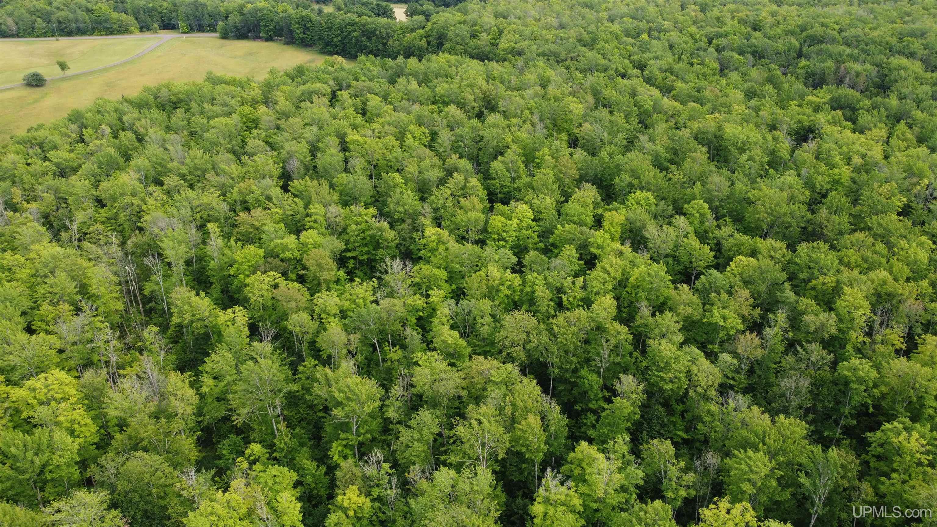 37485 Pike River Road Chassell, MI 49916 - Photo 39 of 41 Gallery Image 39