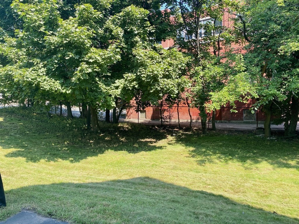51 Walnut Street Lynn, MA 01905 - Photo 9 of 37 a view of backyard with swimming pool
