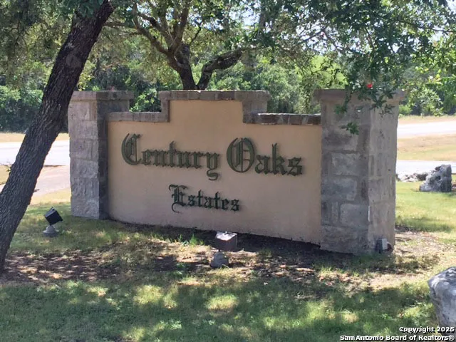 a view of a park with large trees