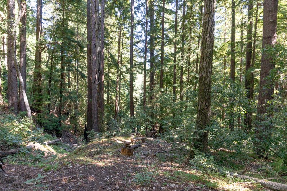 355 Waldeberg Road Ben Lomond, CA 95005 - Photo 31 of 31 Gallery Image 31