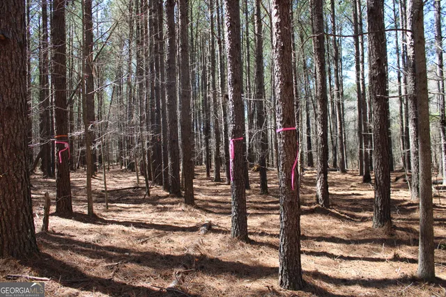 a view of outdoor space with street view