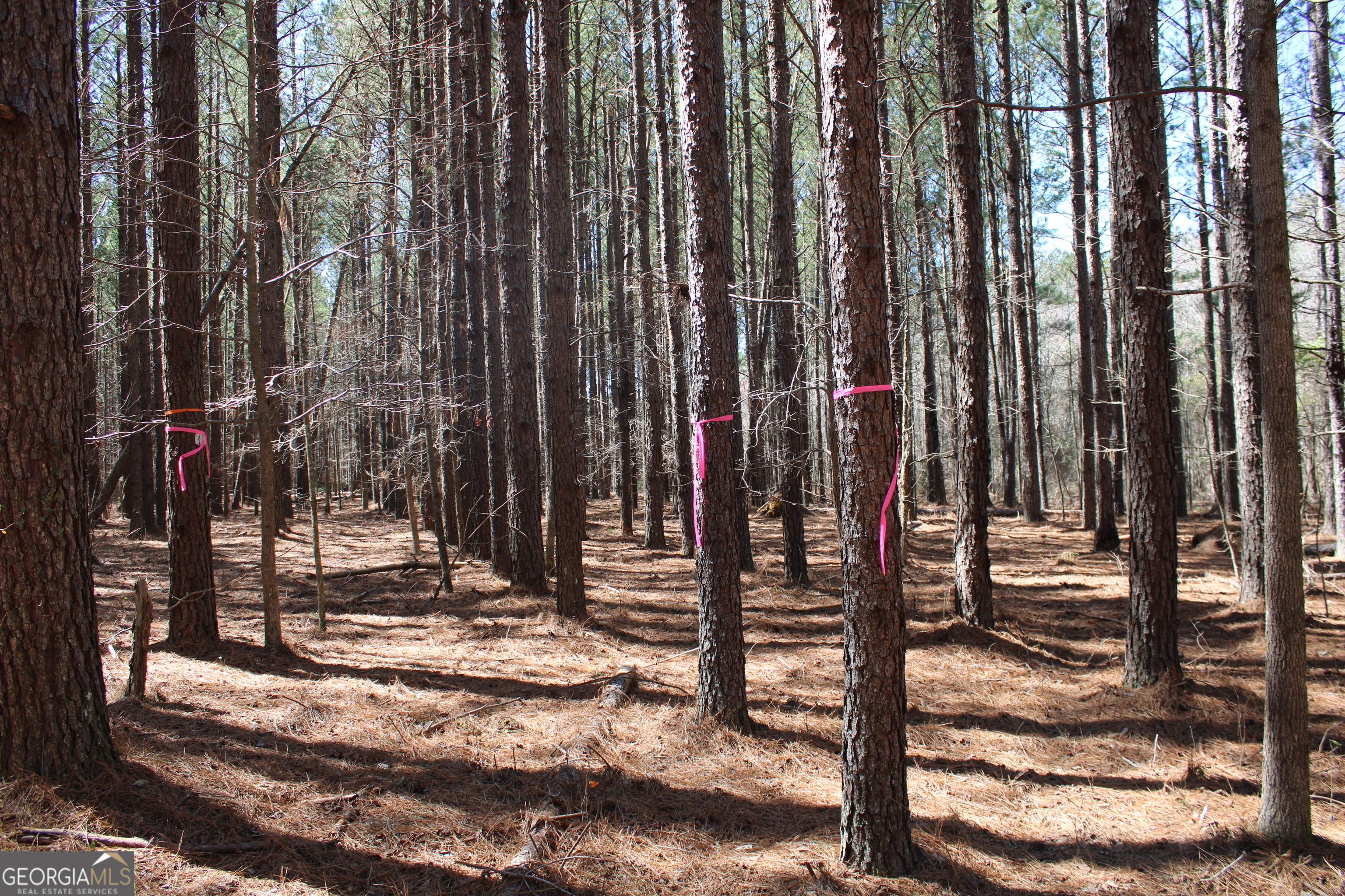a view of outdoor space with street view
