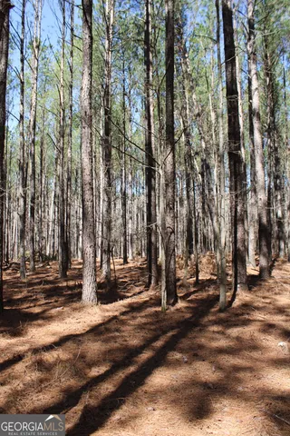 a view of outdoor space with deck and trees