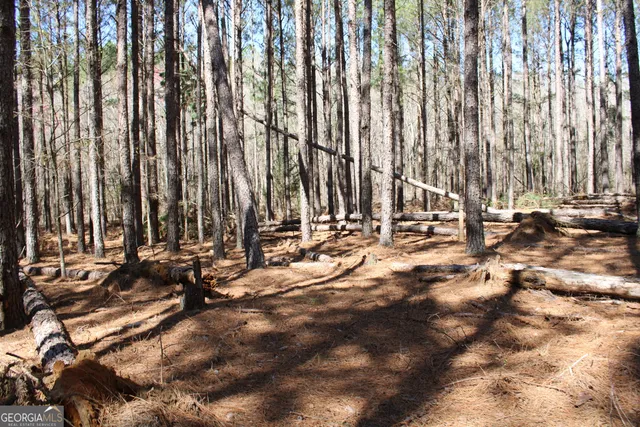 a view of outdoor space with lots of trees