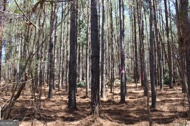 a view of a yard with a tree