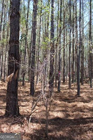 a view of a tennis court