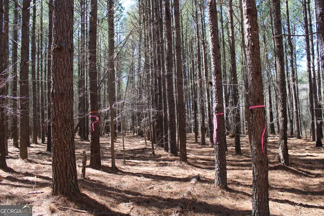 a view of outdoor space with street view