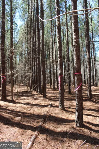 a view of outdoor space with street view