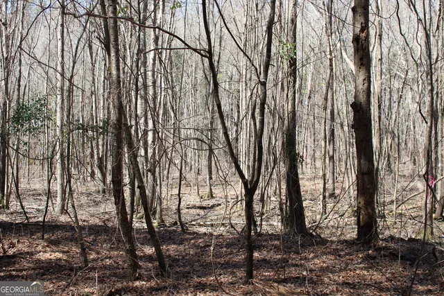 a view of a backyard of the house