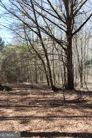 a backyard of a house