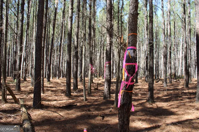 a view of outdoor space with chairs