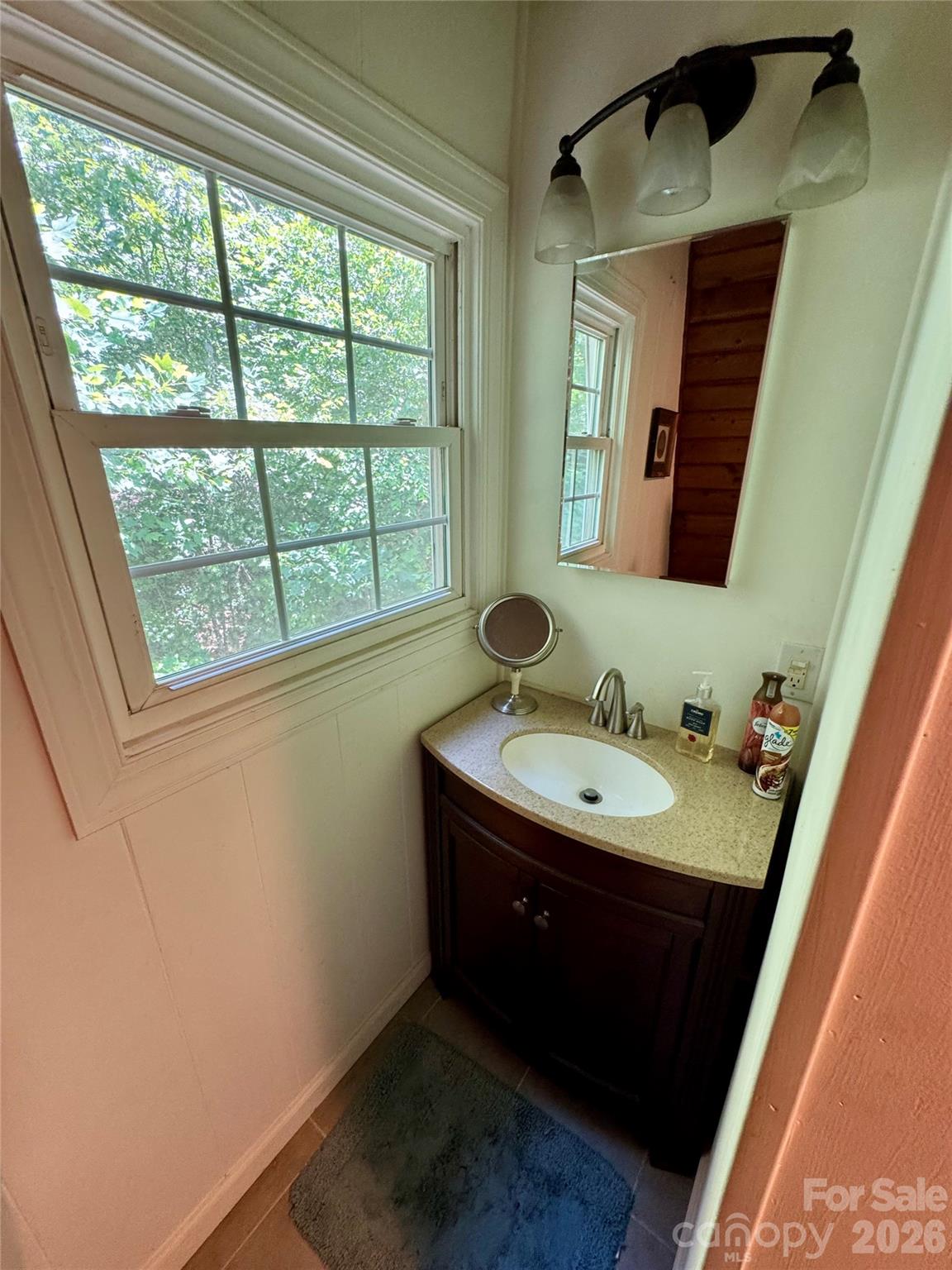 282 Calhoun Trail Rutherfordton, NC 28139 - Photo 32 of 48 a bathroom with a sink and a mirror