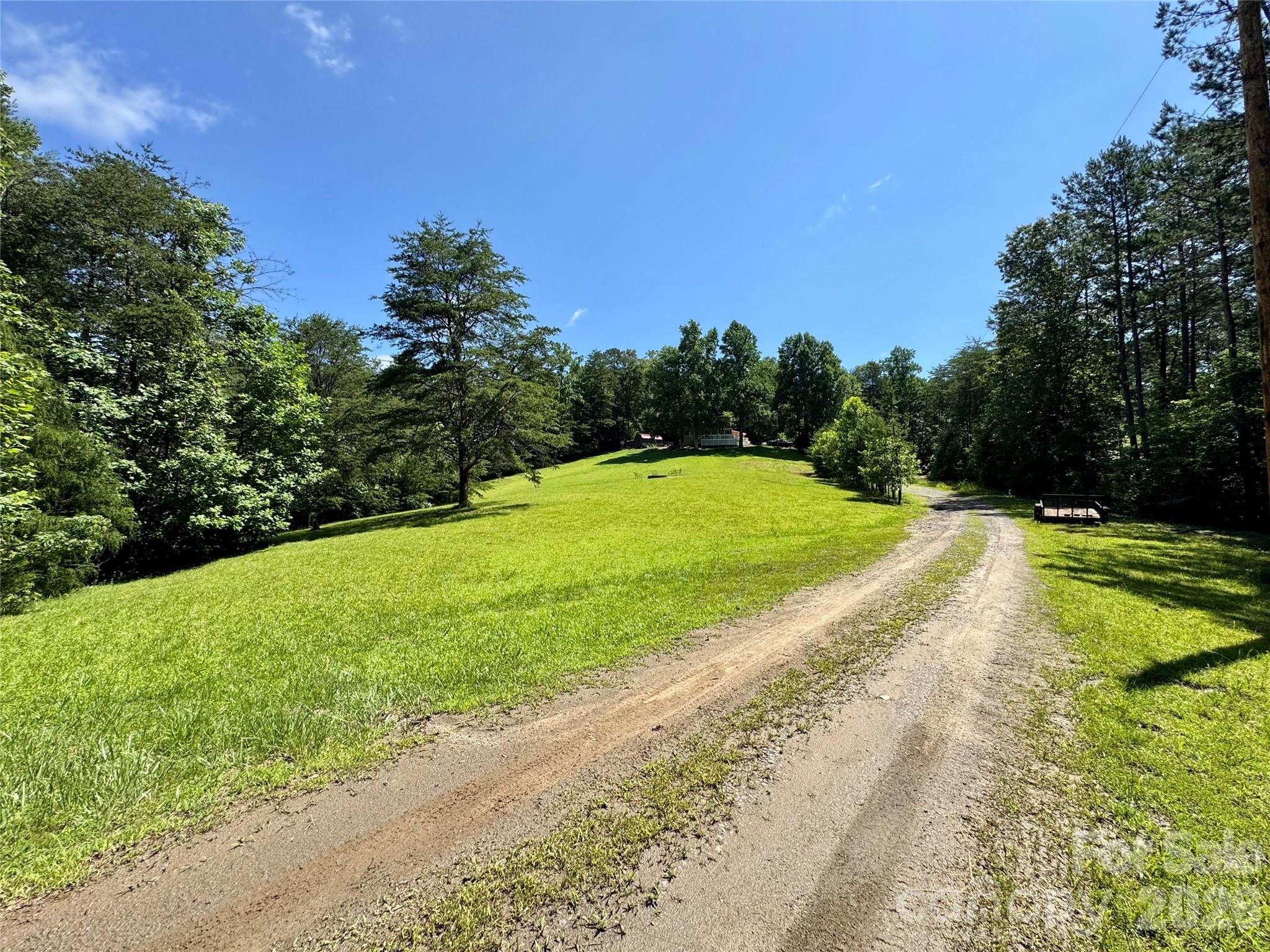 282 Calhoun Trail Rutherfordton, NC 28139 - Photo 43 of 48 a view of a yard with a large trees
