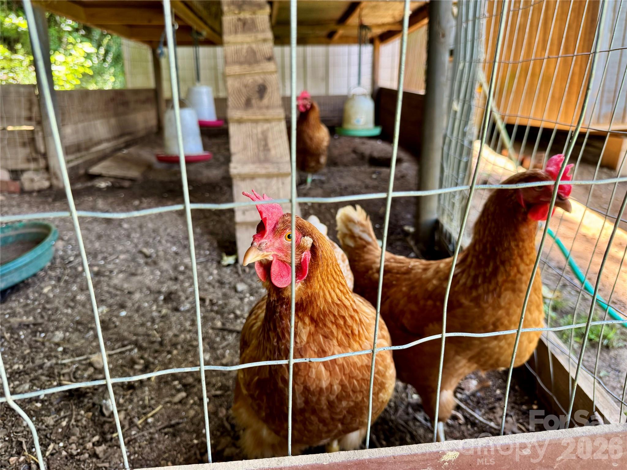 282 Calhoun Trail Rutherfordton, NC 28139 - Photo 45 of 45