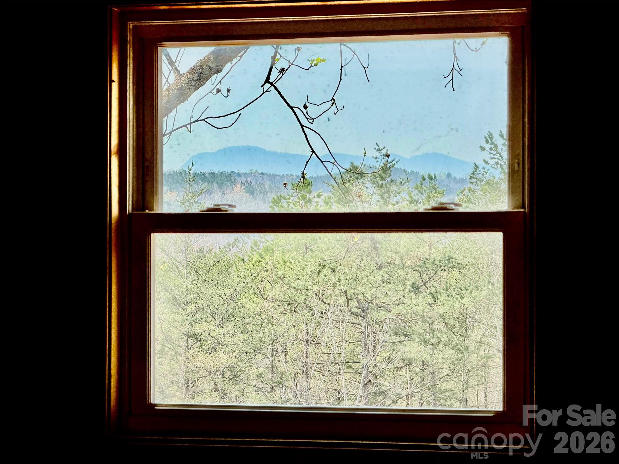 282 Calhoun Trail Rutherfordton, NC 28139 - Photo 8 of 48 a view of a window