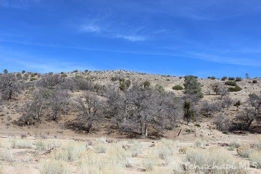 0 Franceschi Road Caliente, CA 93518 - Photo 11 of 17 Gallery Image 11