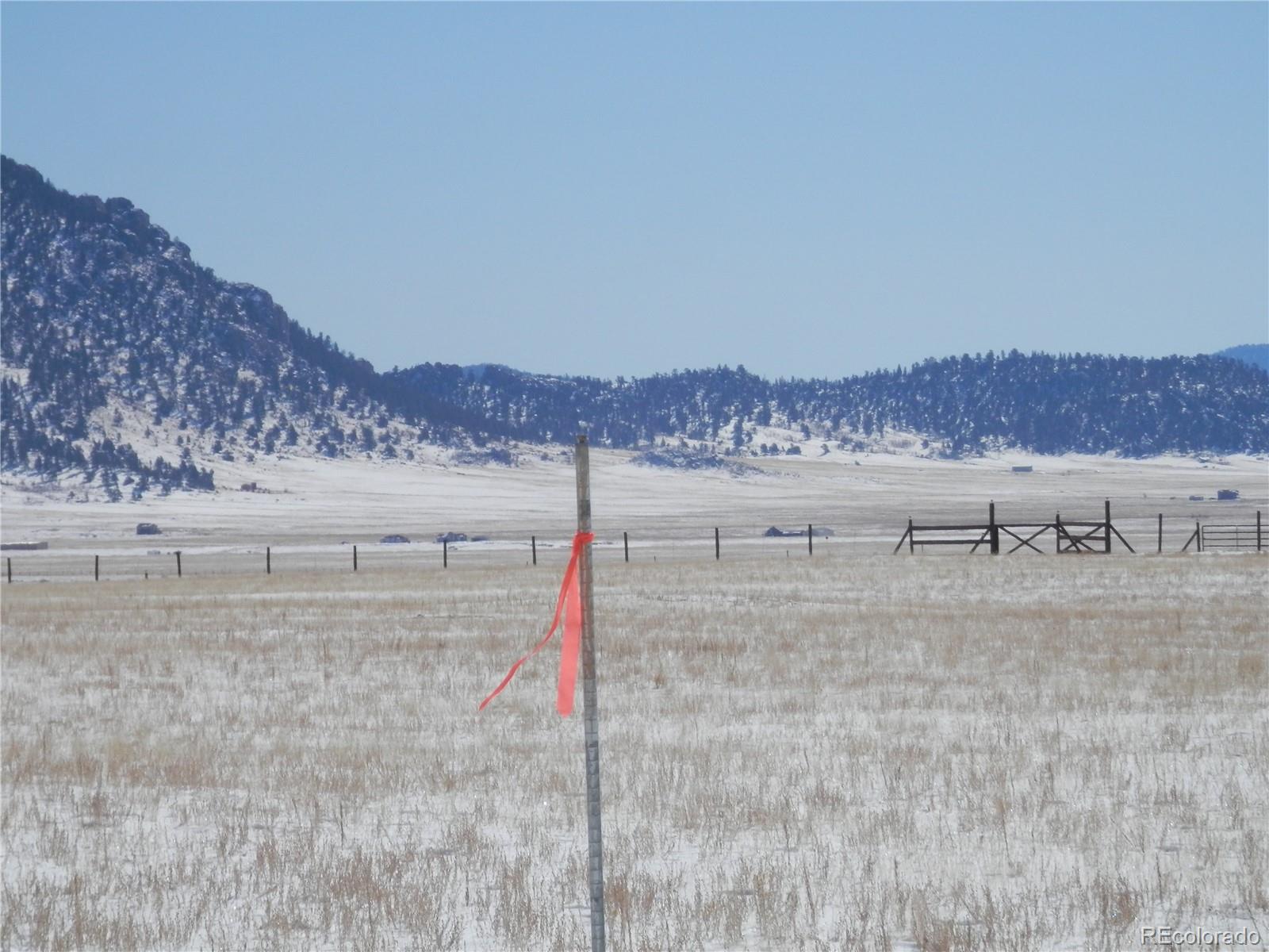 6744 Mesa Road Hartsel, CO 80449 - Photo 2 of 23 a view of a dry yard with mountain