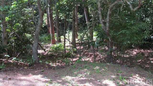 E-3 Boulderdash Road Cashiers, NC 28717 - Photo 3 of 3 Gallery Image 3