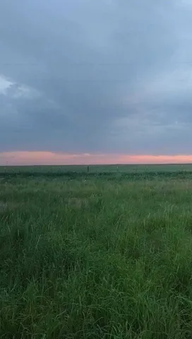 $55,000 | 17024 North County Road 1000, Shallowater, TX 79363