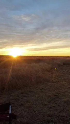 $55,000 | 17024 North County Road 1000, Shallowater, TX 79363