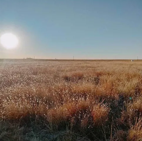 $55,000 | 17024 North County Road 1000, Shallowater, TX 79363