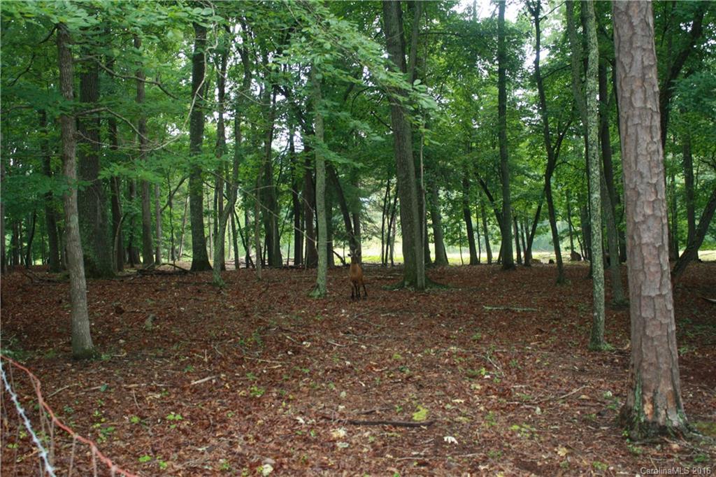 744 Enka Lake Road Candler, NC 28715 - Photo 3 of 20 Gallery Image 3
