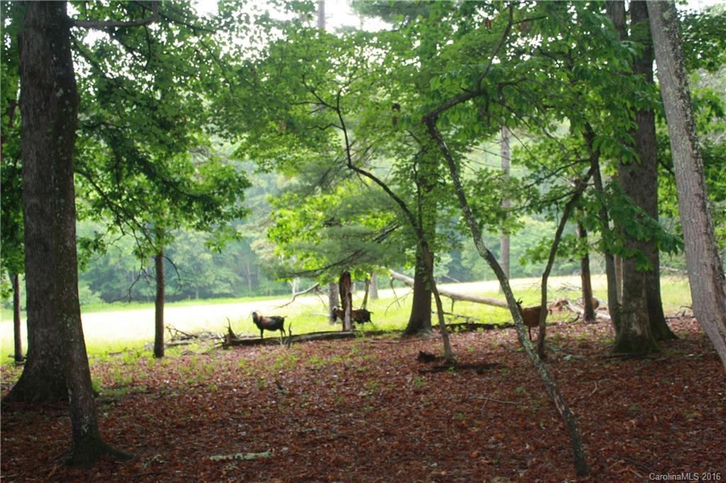 744 Enka Lake Road Candler, NC 28715 - Photo 7 of 20 Gallery Image 7