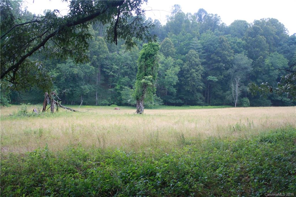 744 Enka Lake Road Candler, NC 28715 - Photo 9 of 20 Gallery Image 9