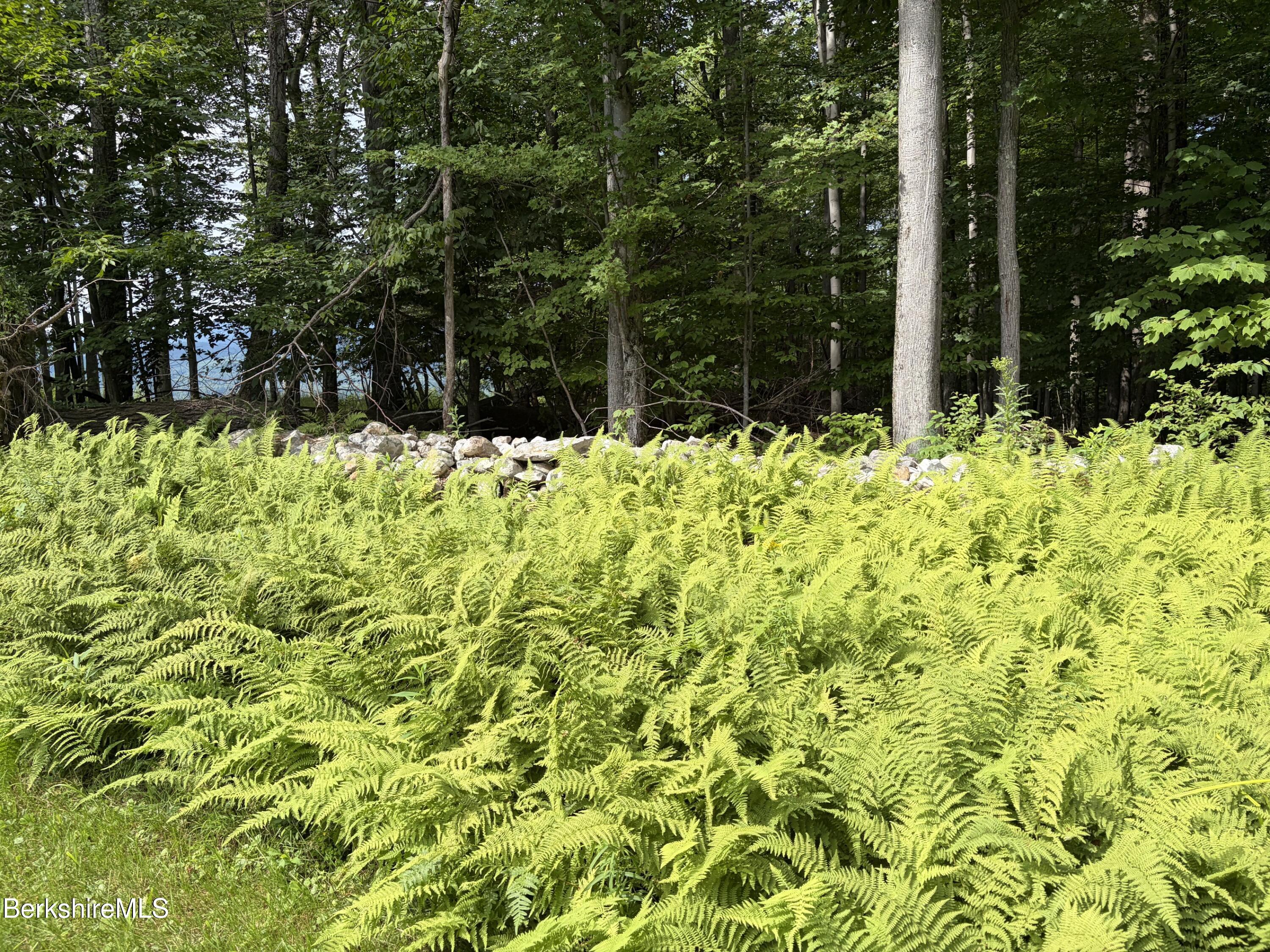 Stone Walls