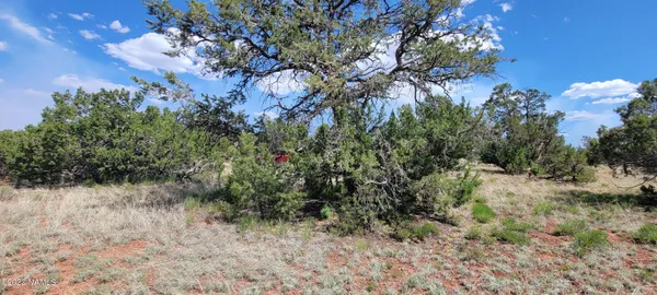 $11,500 | 2152 South Hollyhock Lane, Williams, AZ 86046