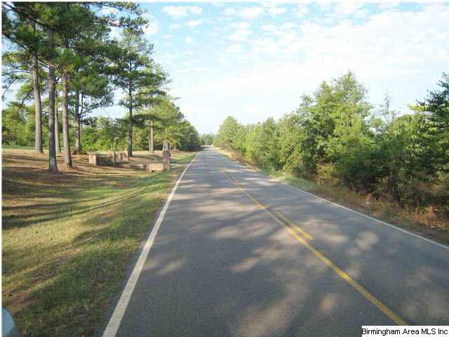 Howell Cove Road Talladega, AL 35160 - Photo 3 of 9