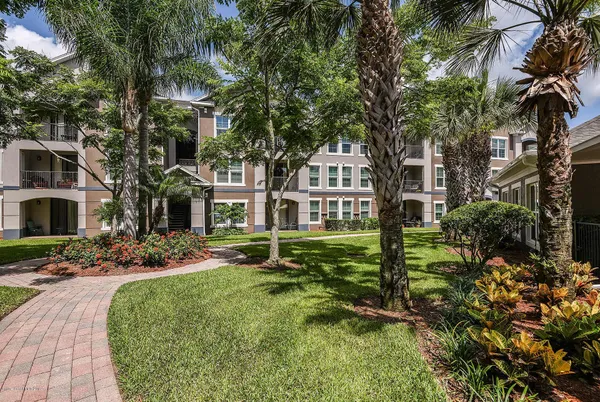 a view of a big yard with plants and trees