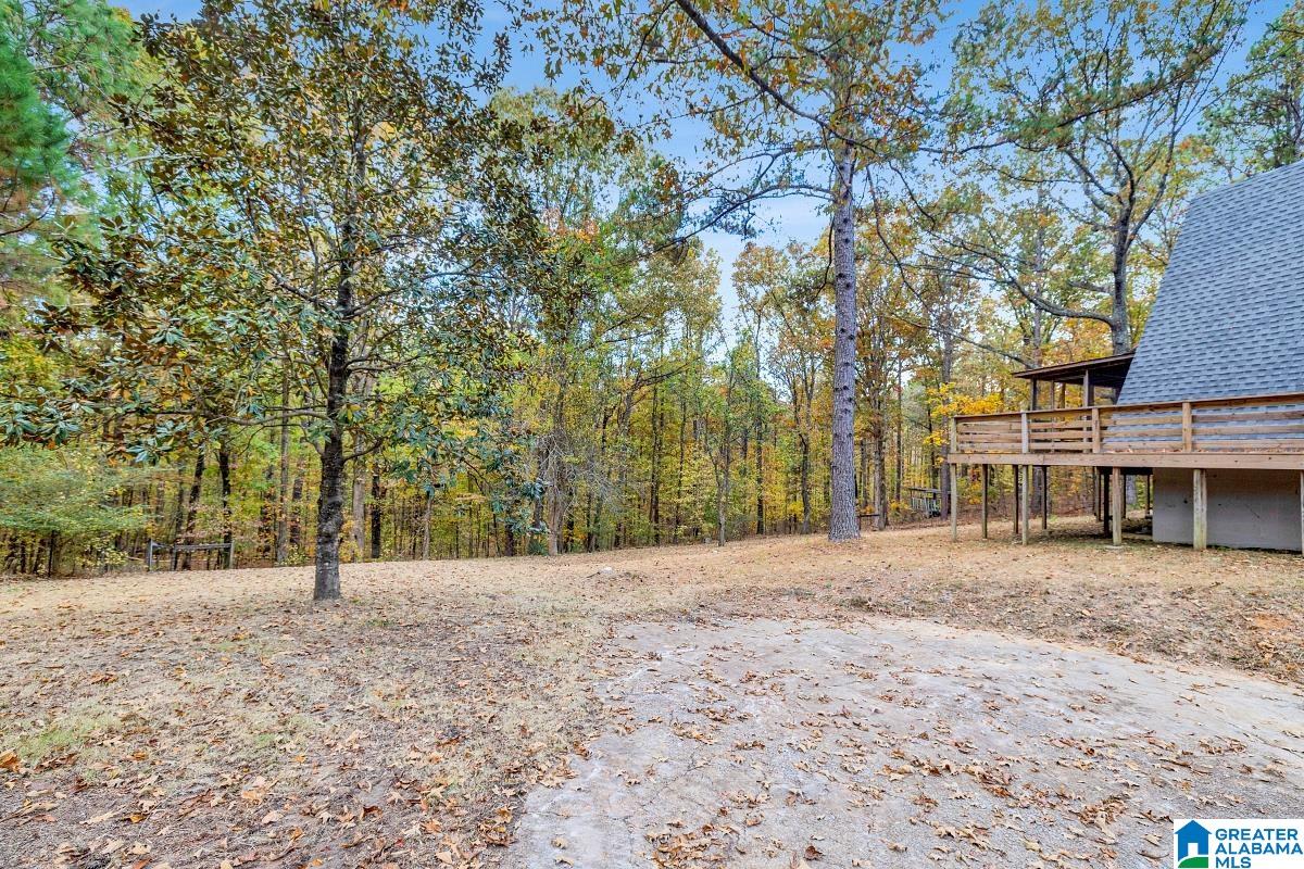 621 Hodgens Road Chelsea, AL 35043 - Photo 32 of 59 Gallery Image 32