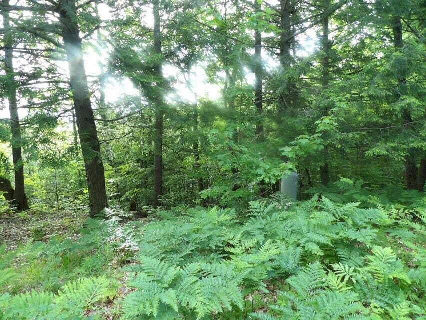 453 Canada Road Moscow, ME 04920 - Photo 4 of 11 453 canada rd 3