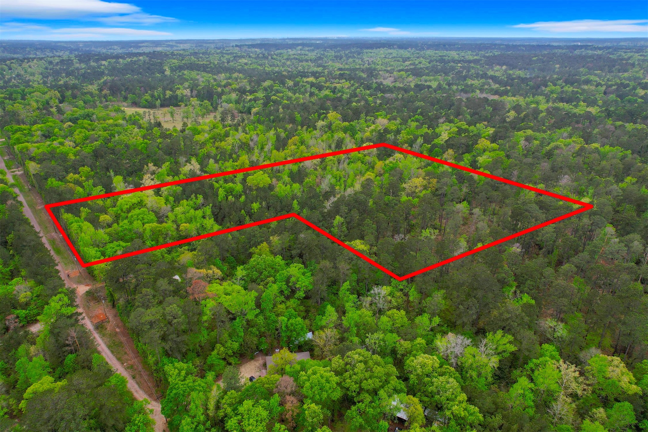 433 Saddle Surrey Road Coldspring, TX 77331 - Photo 5 of 8