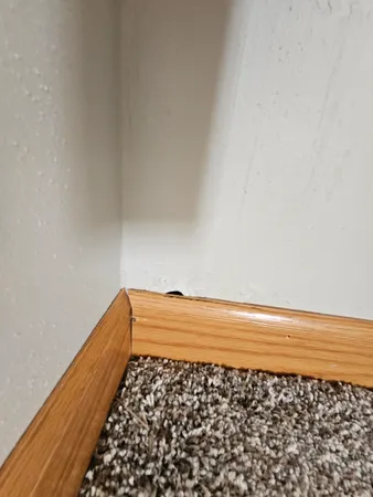 a street view covered with snow