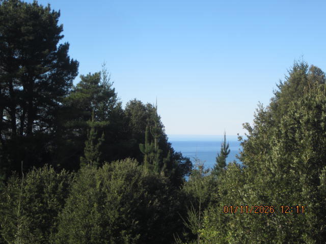 2715 Toth Road Shelter Cove, CA 95589 - Photo 8 of 27 IMG_0757
