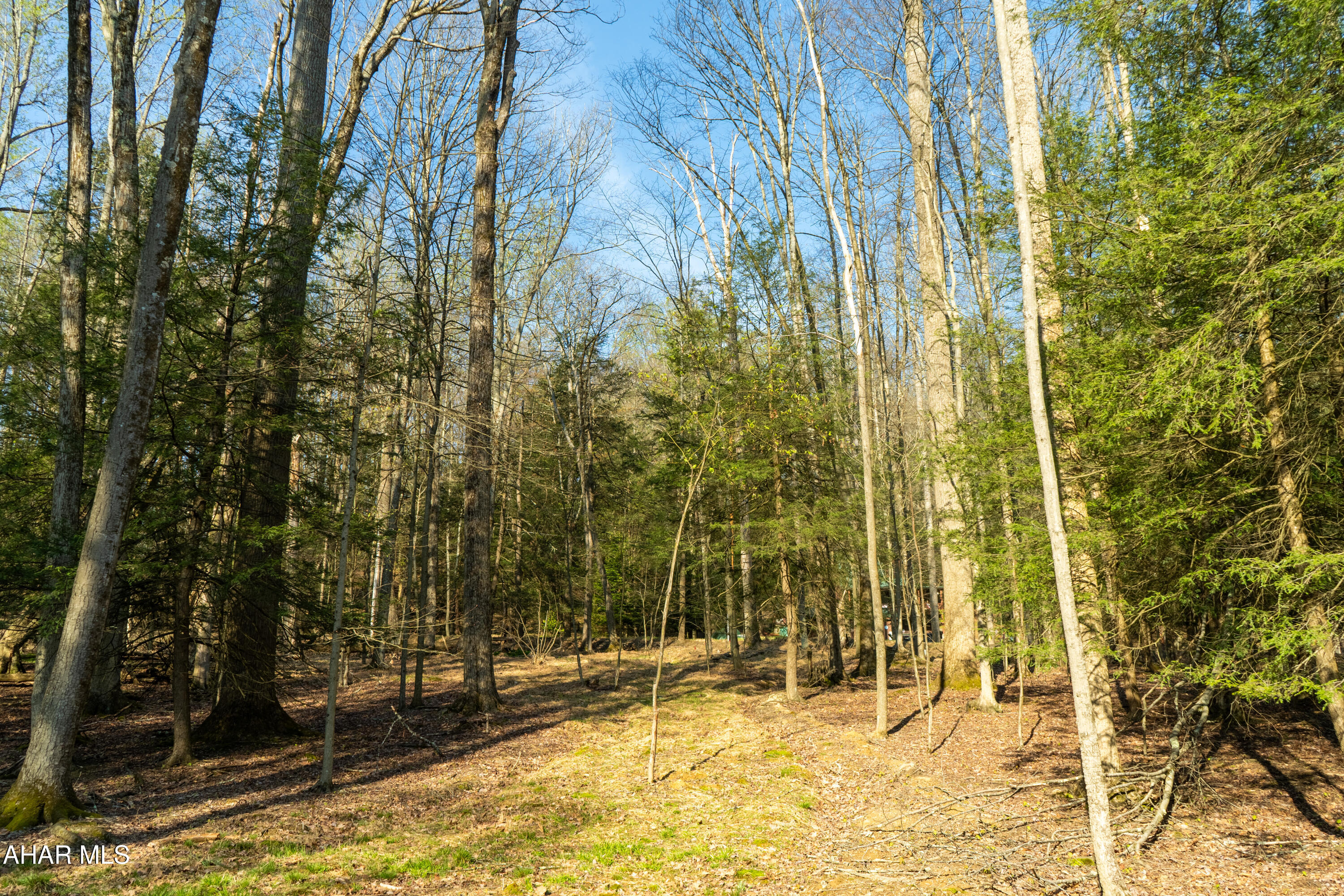 179 Crosscut Lane Flinton, PA 16640 - Photo 43 of 56