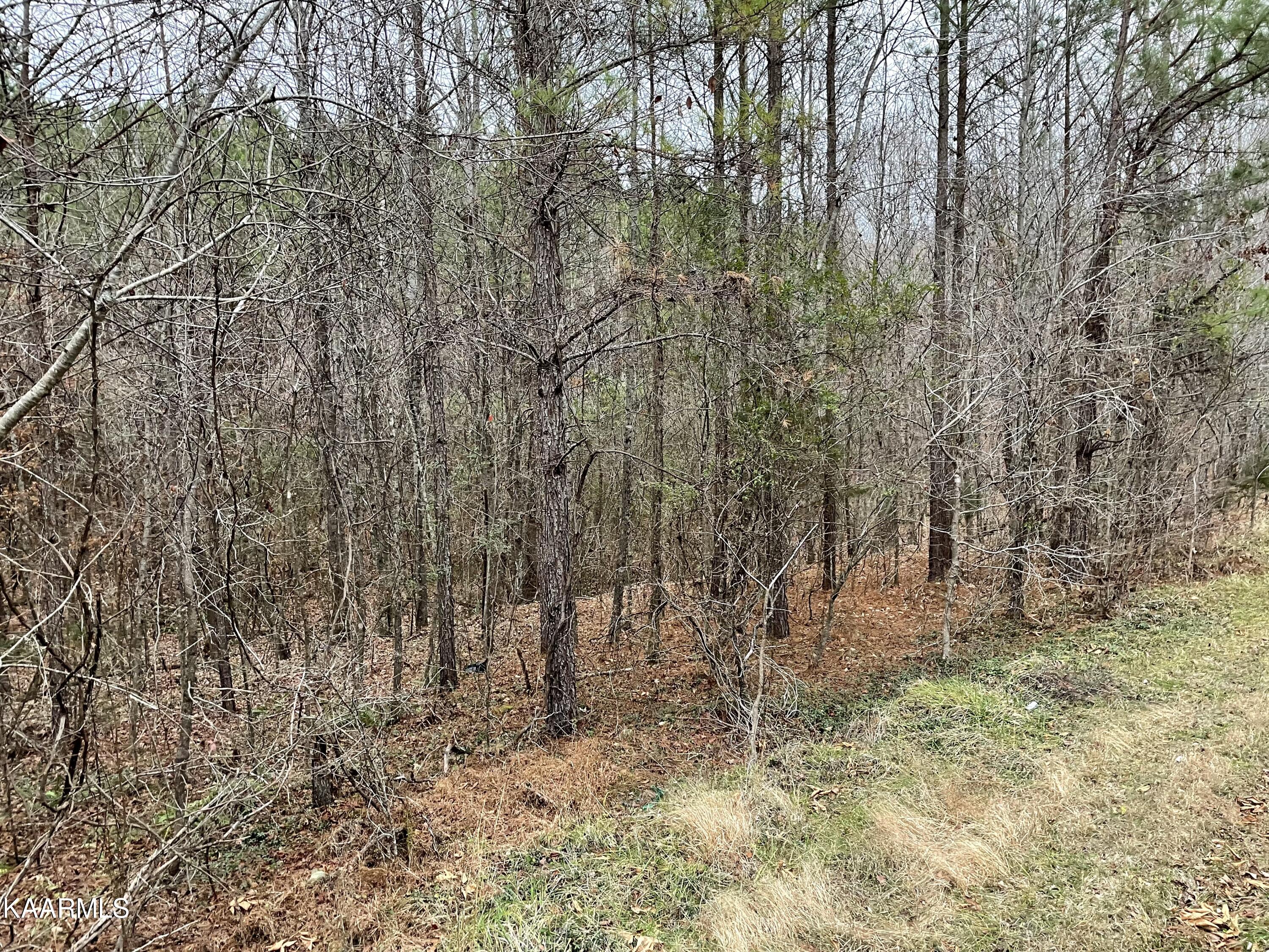 947 Rayl Hollow Road Decatur, TN 37322 - Photo 1 of 55 D15414E3-AE0A-4D70-9BA0-87D9E7ABC531