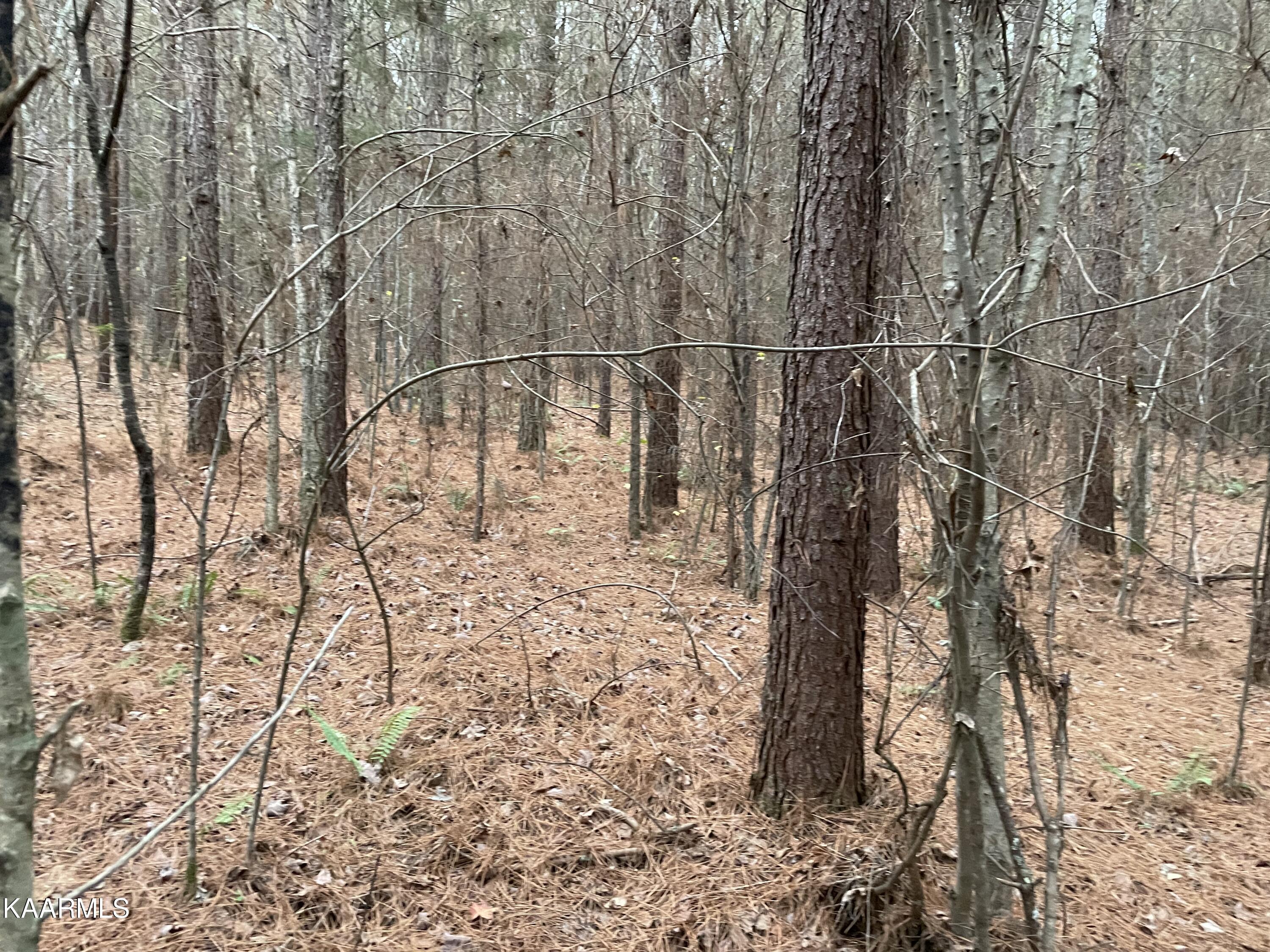 947 Rayl Hollow Road Decatur, TN 37322 - Photo 18 of 55 95D1FB68-BE7E-4963-A9F8-FBEB47B6DC8B