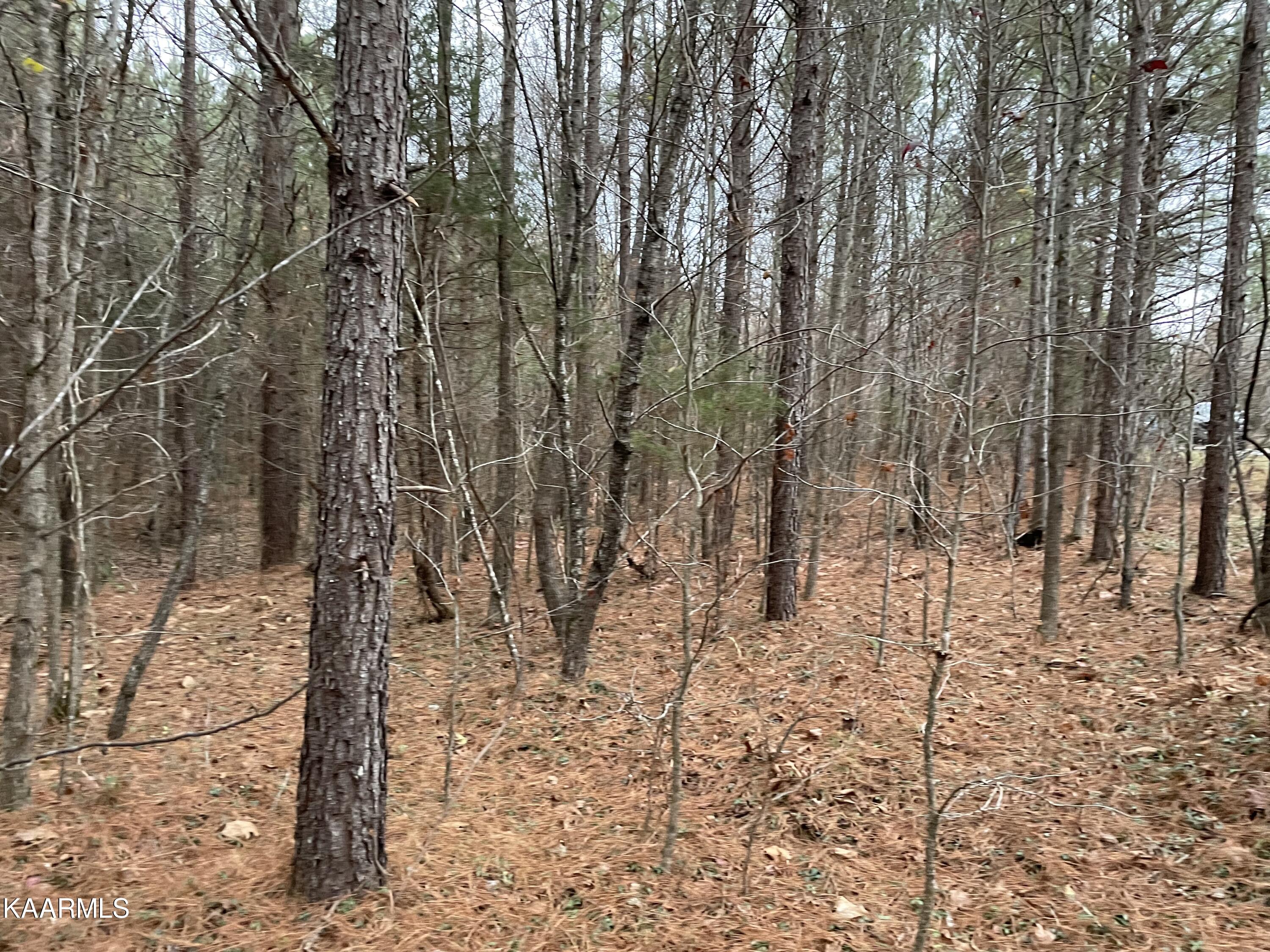 947 Rayl Hollow Road Decatur, TN 37322 - Photo 19 of 55 EAE38BB8-173F-459A-82C8-FD0FAA407186
